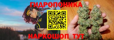 трава Будённовск